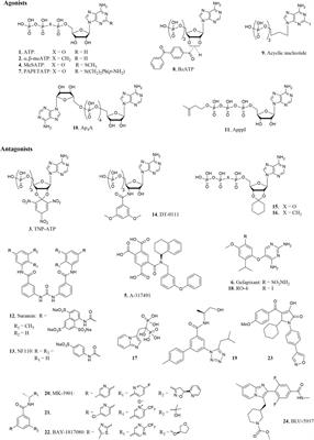 P2X3 Receptor Ligands: Structural Features and Potential Therapeutic Applications